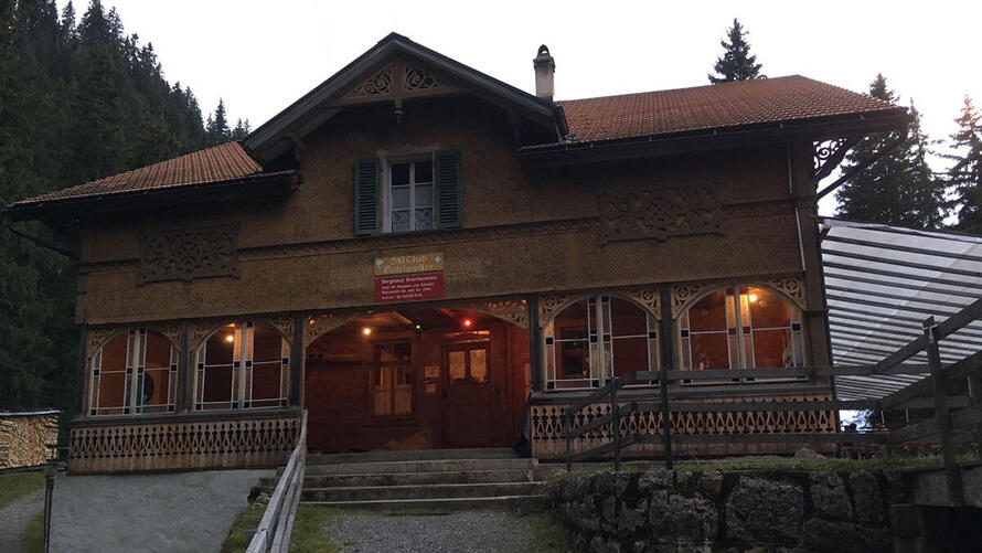 Lehrlingslager – Einsatz auf der Alp